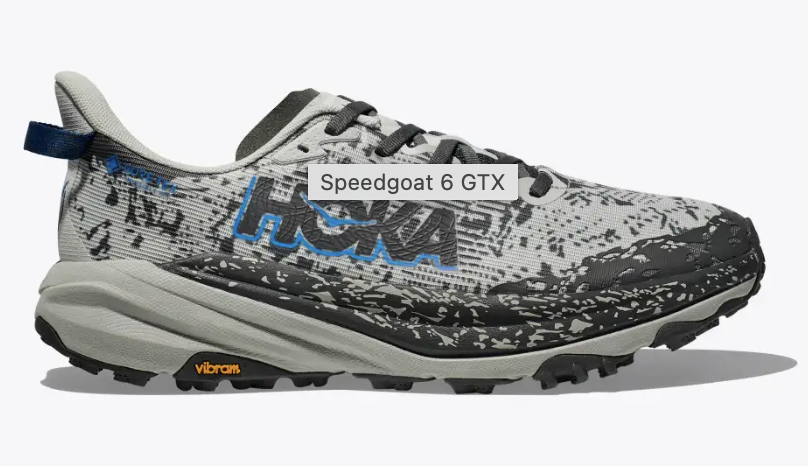Men's Hoka Speedgoat 6 GTX - Stardust/Outer Orbit